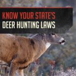 Hunting Laws | Deer Season and Hunting Laws