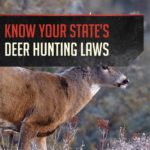 facts-about-whitetail-deer-thumbnail-3 | 9 Completely Unforgettable Facts About Whitetail Deer Hunters Should Know