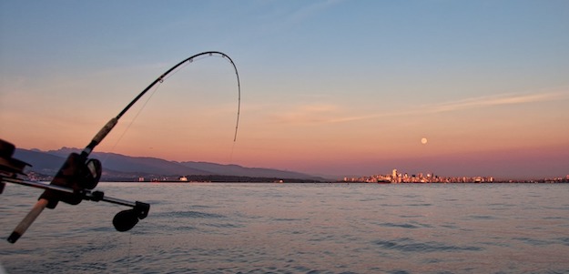 fishing pole rod 3 pb