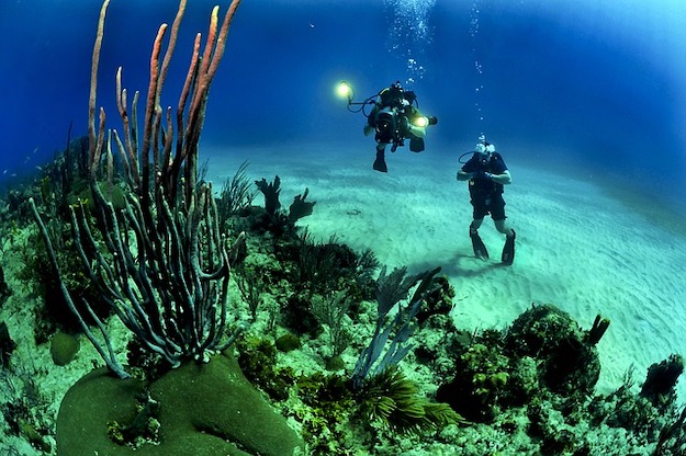 scuba diving 1 pb
