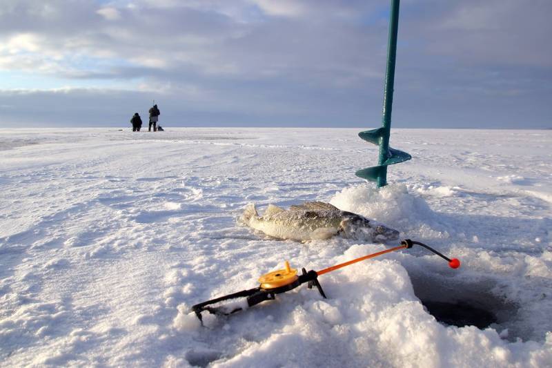 close-boer-fishing-rod-fish-around | ice fishing jig rod
