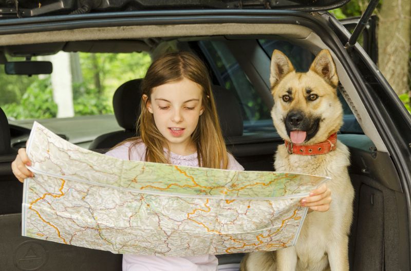 little-child-girl-her-dog-pet | camping tips for beginners