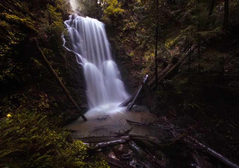 berry-creek-falls-big-basin-redwoods | hiking and camping