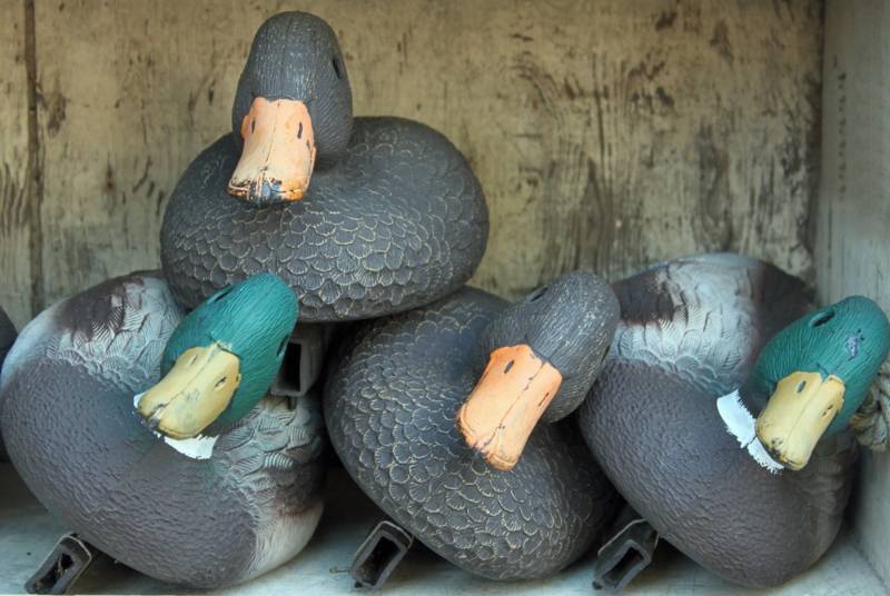 box-duck-decoys | coyote hunting decoys