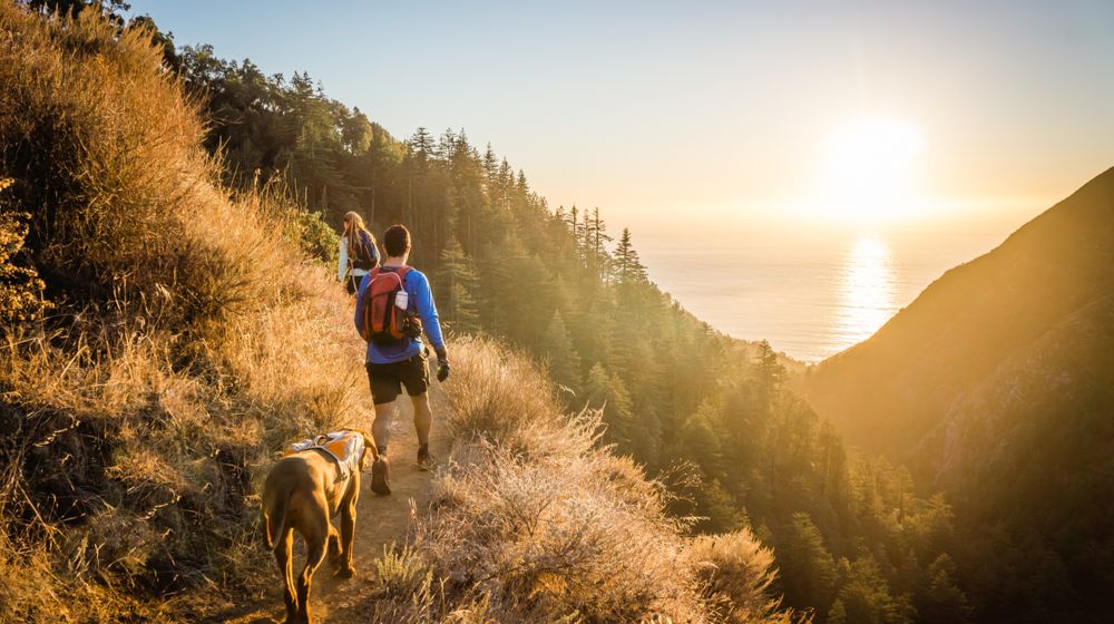 man-woman-dog-hike-big-sur | Best Hiking Trails In California | Trekking In El Dorado State | Featured