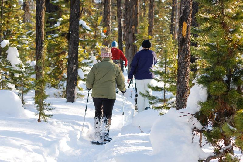 Active Family Snow Shoes Trail Through | Snowshoeing