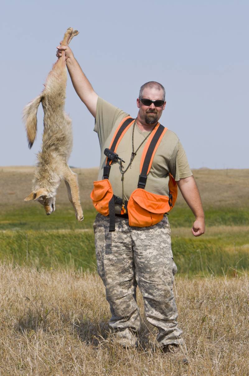 coyote-hunting | coyote hunting secrets