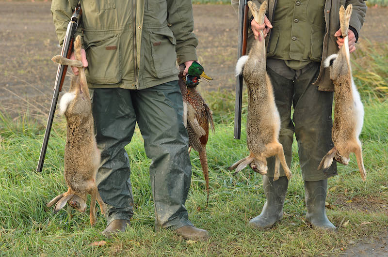 Hunters with Catch: Hare, Duck and Pheasant in hand | varmint hunting magazine