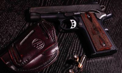 gun with bullets | bore snake