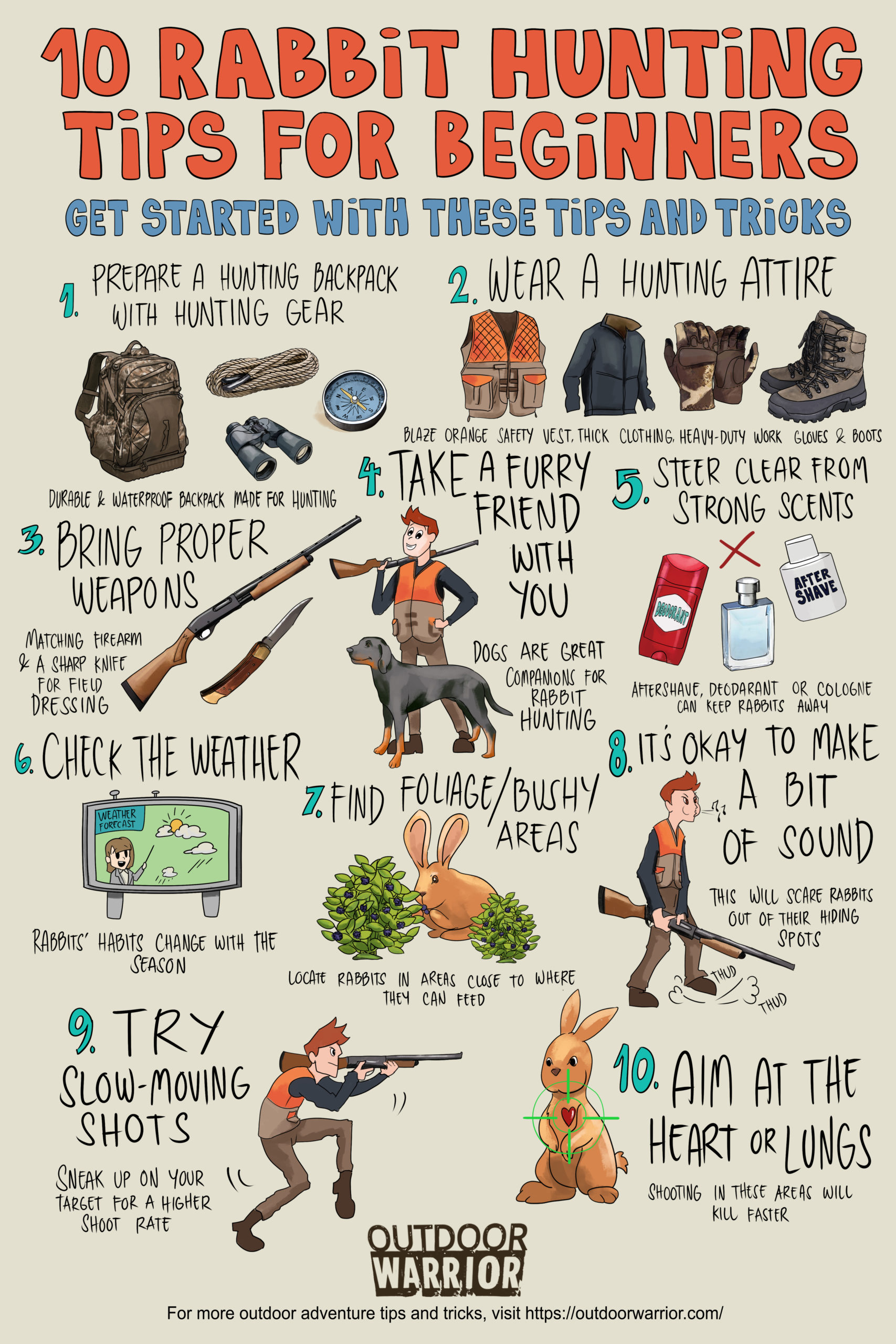 10 Rabbit Hunting Tips for Beginners | Infographics