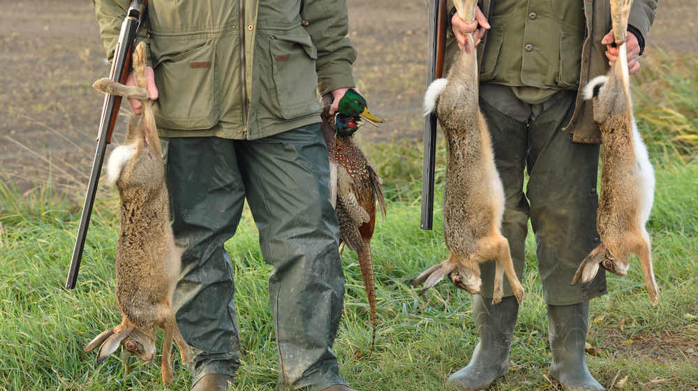 Hunters with Catch Hare | Rabbit Hunting Tips For Beginners | featured