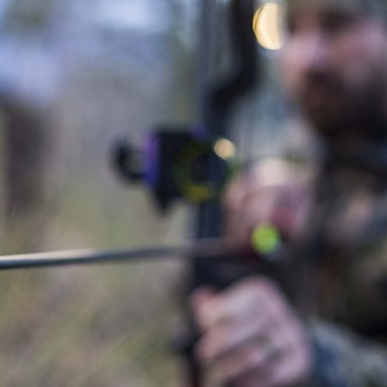 archery-hunters-arrow-tipArchery Hunting Stories | Featured