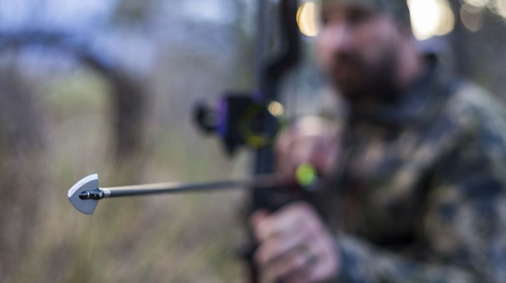 archery-hunters-arrow-tipArchery Hunting Stories | Featured