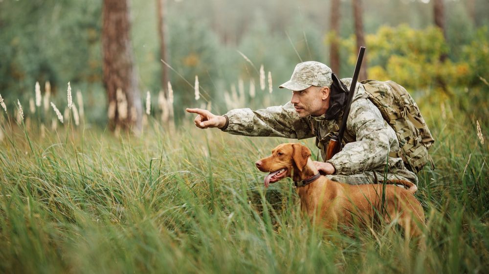hunter-rifle-dog-forest Hunting In Pennsylvania | Featured