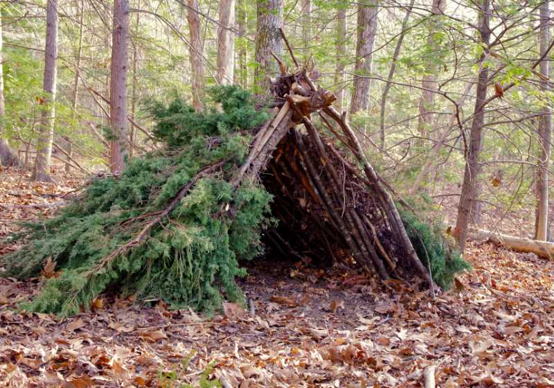 primitive bushcraft survival debris hut campfire | survival debris hut photo