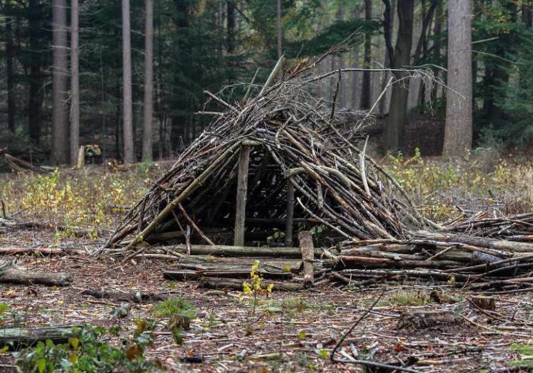 Debris Hut | Your Ultimate Guide In Building A Survival Shelter