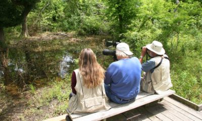 three-people-watching-birds-wetland-forest Extreme Bird Watching | Featured