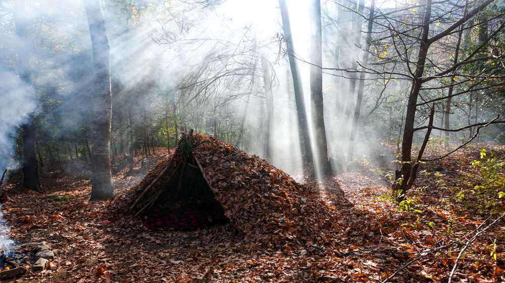 primitive debris hut survival shelter wilderness | How To Build A Debris Hut | featured